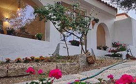 Il Salice b&b